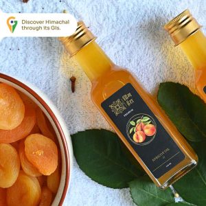 Apricot Oil – Pure Cold-Pressed Pahadi Gutti Ka Tel