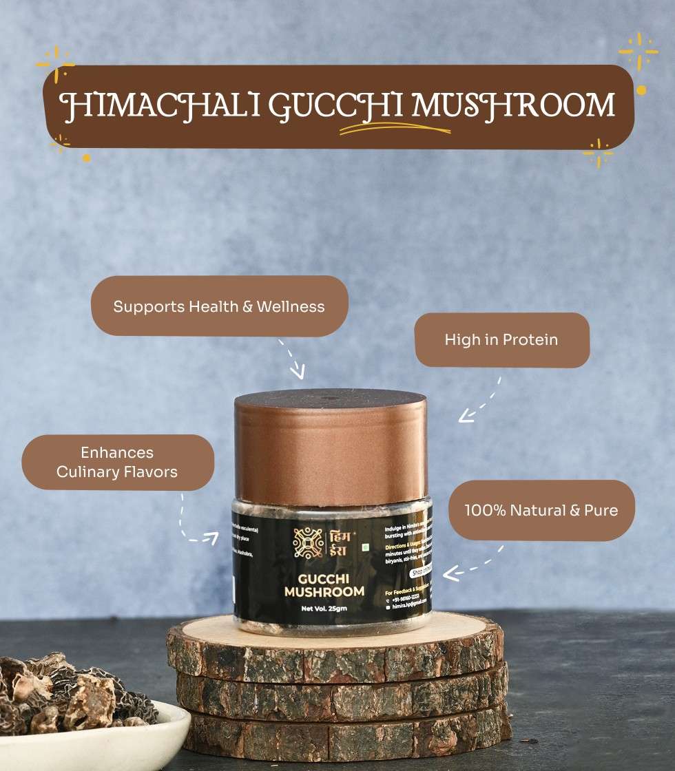 Gucchi Mushroom – Rare Himalayan Morel Mushrooms - Image 2