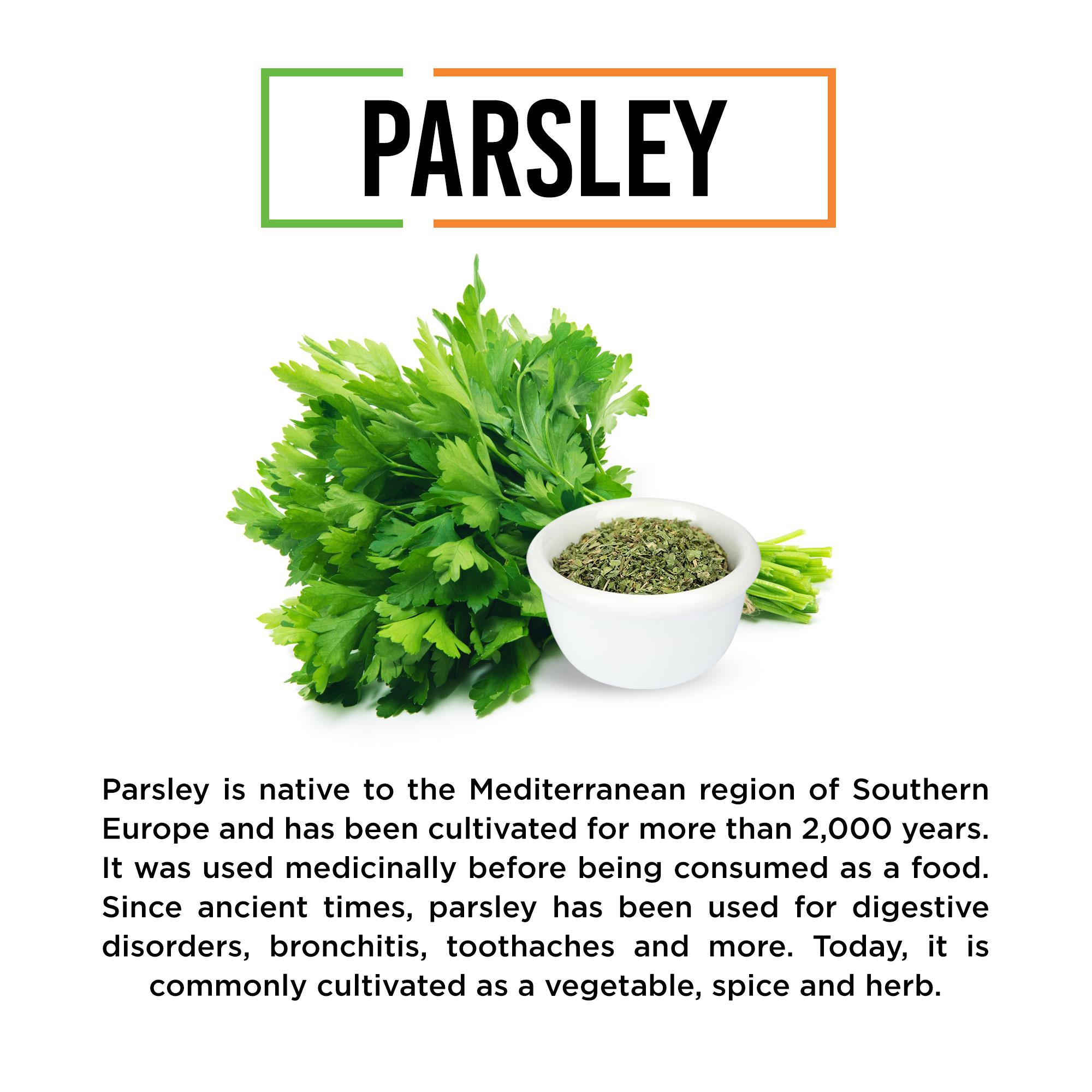 Chef Urbano Herbs Parsley Bottle 40 Gms (MRP: Rs. 150/-) - Image 5