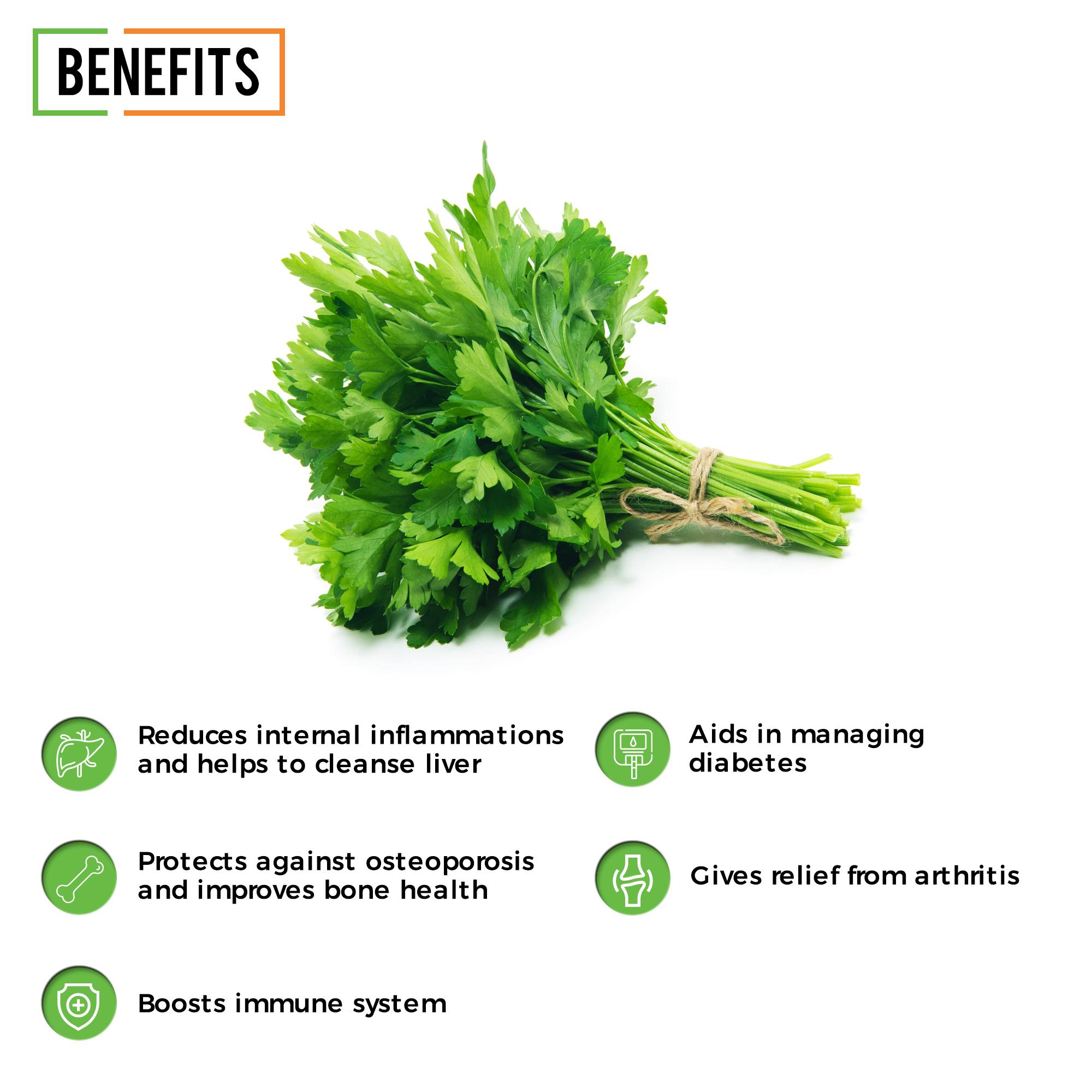 Chef Urbano Herbs Parsley Sprinkler 20 Gms (MRP: Rs. 99/-) - Image 2